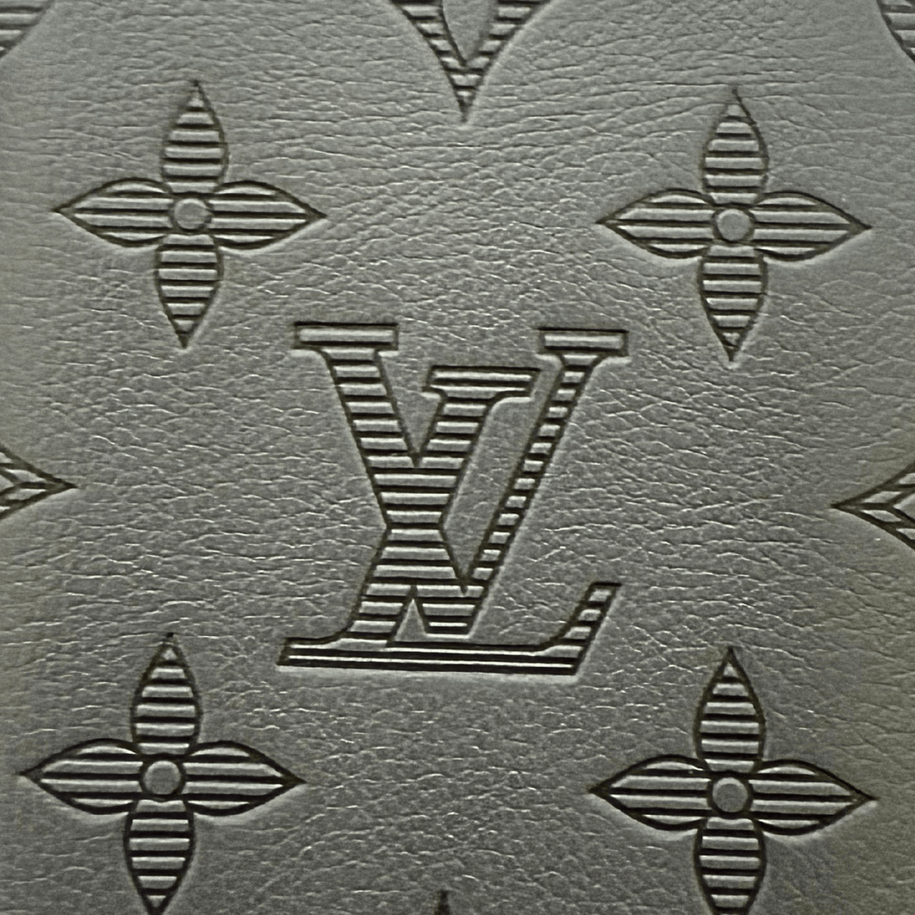 Louis Vuitton Shadow Leather Pocket Organizer Wallet