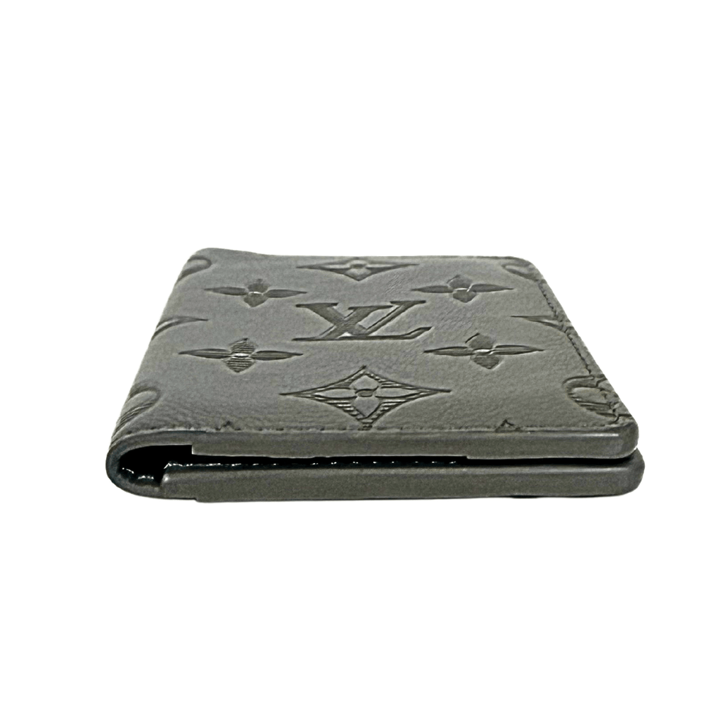Louis Vuitton Shadow Leather Pocket Organizer Wallet