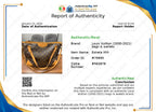 Crossbody Luxury Designer By Louis Vuitton, Size: Large