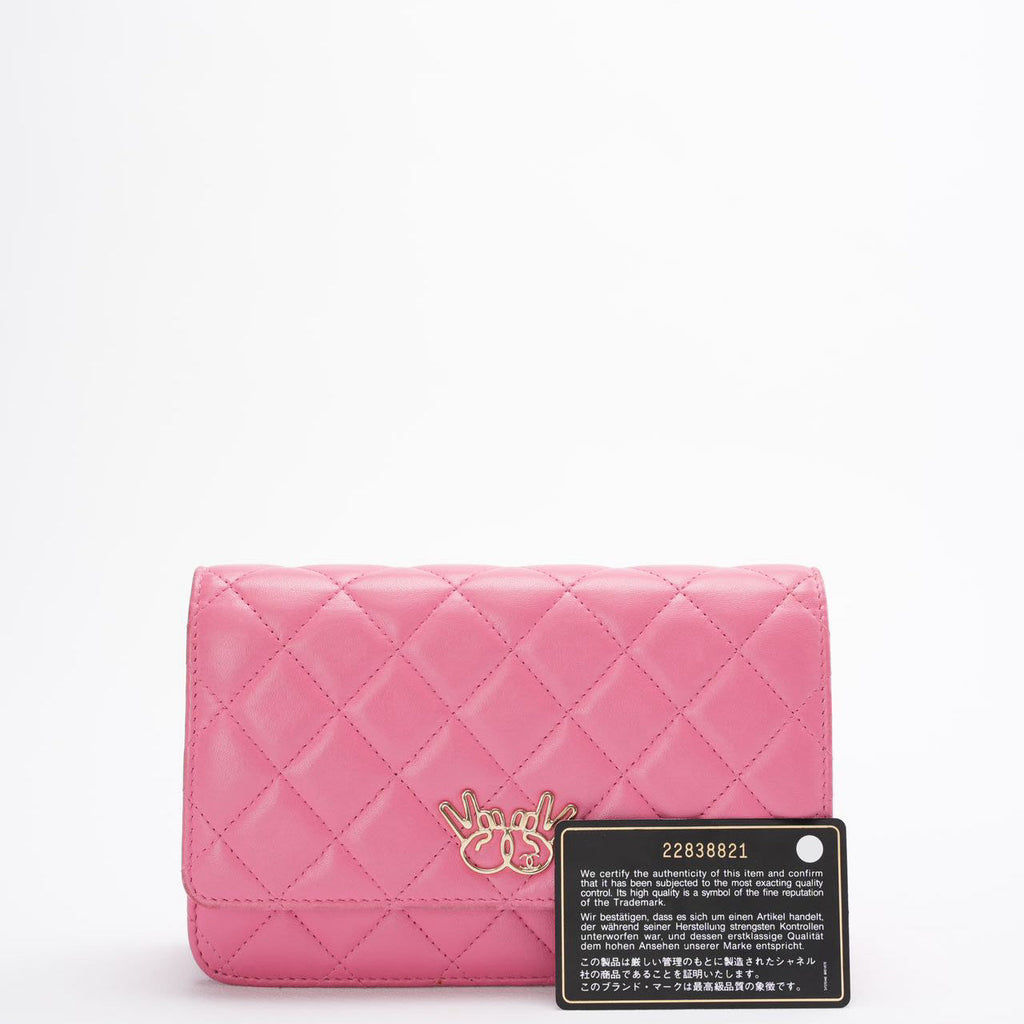 Chanel Wallet on Chain (woc) Bag Pink Emoticon