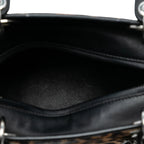 Christian Dior Lady Dior Limited Edition Pony Hair Leopard Galliano Era Y2K Bag