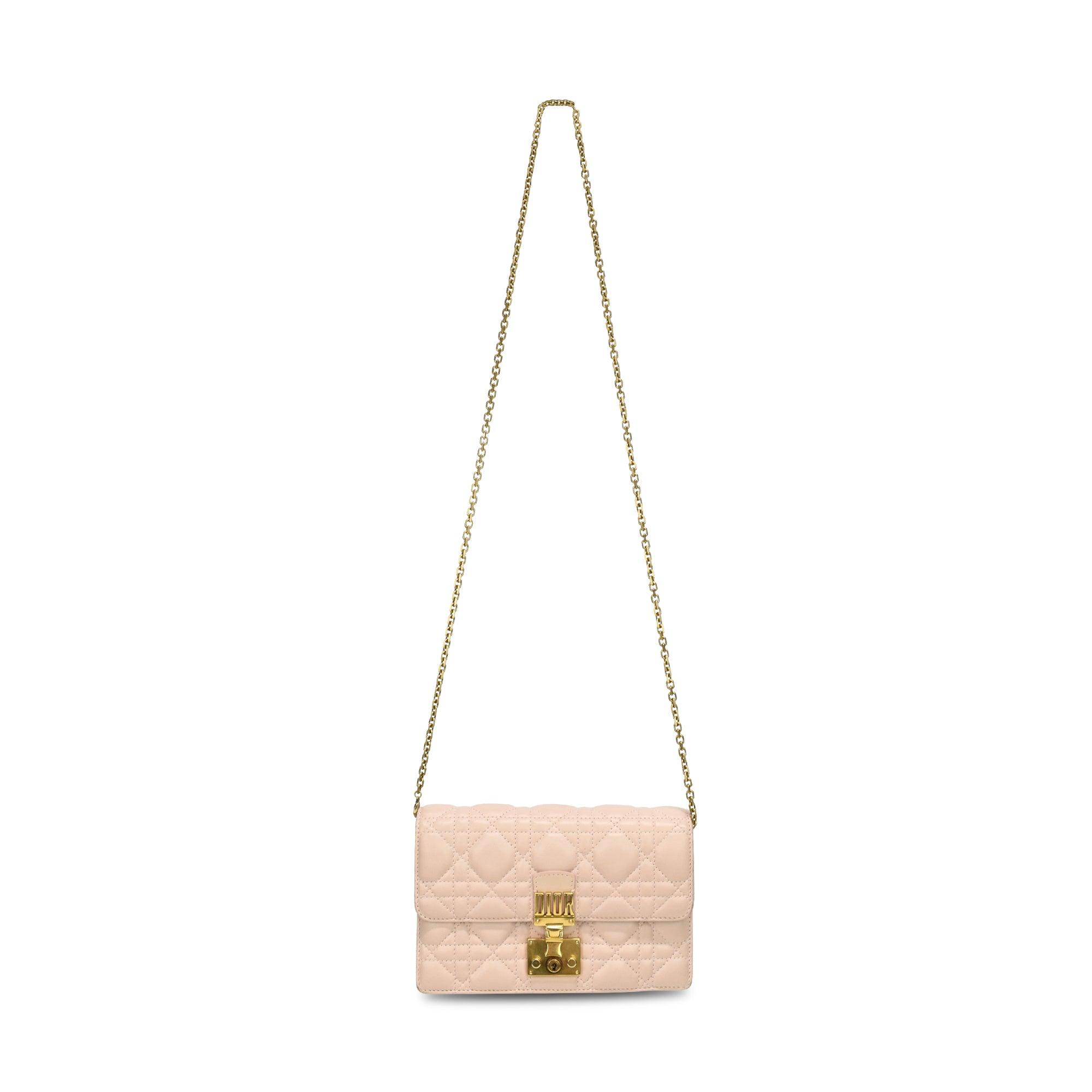 Christian Dior Wallet on Chain