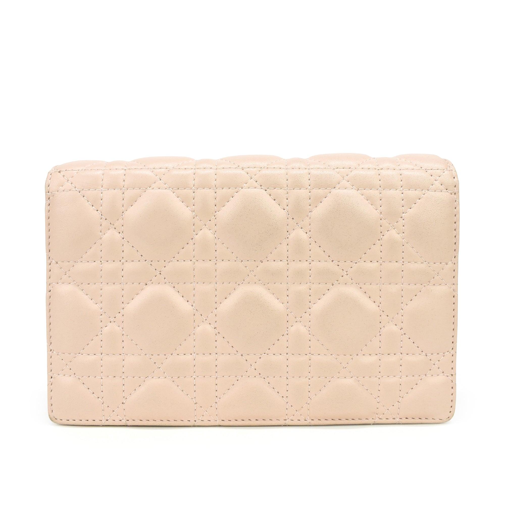 Christian Dior Wallet on Chain
