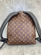 Louis Vuitton Monogram Palm Springs MM