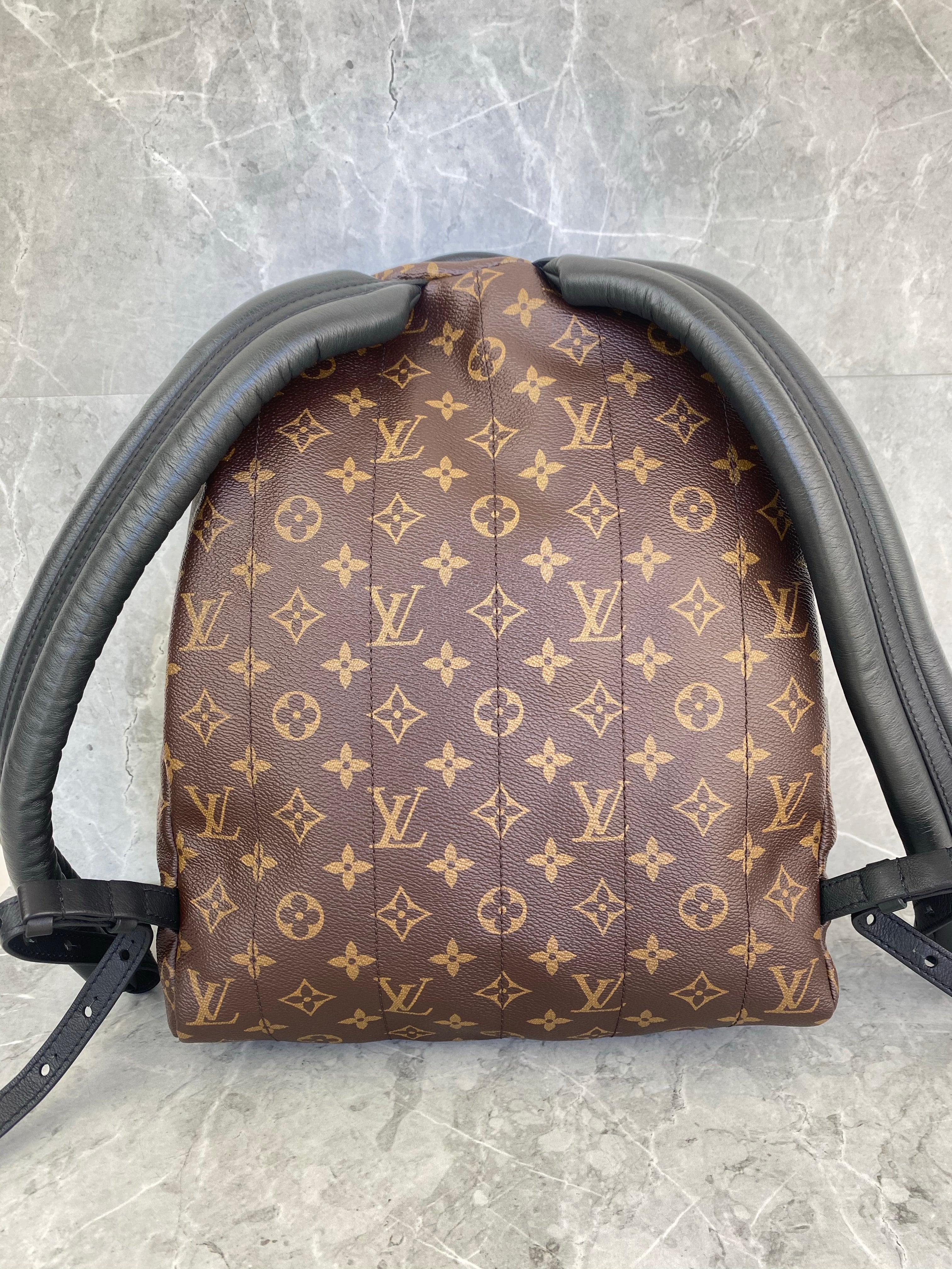 Louis Vuitton Monogram Palm Springs MM