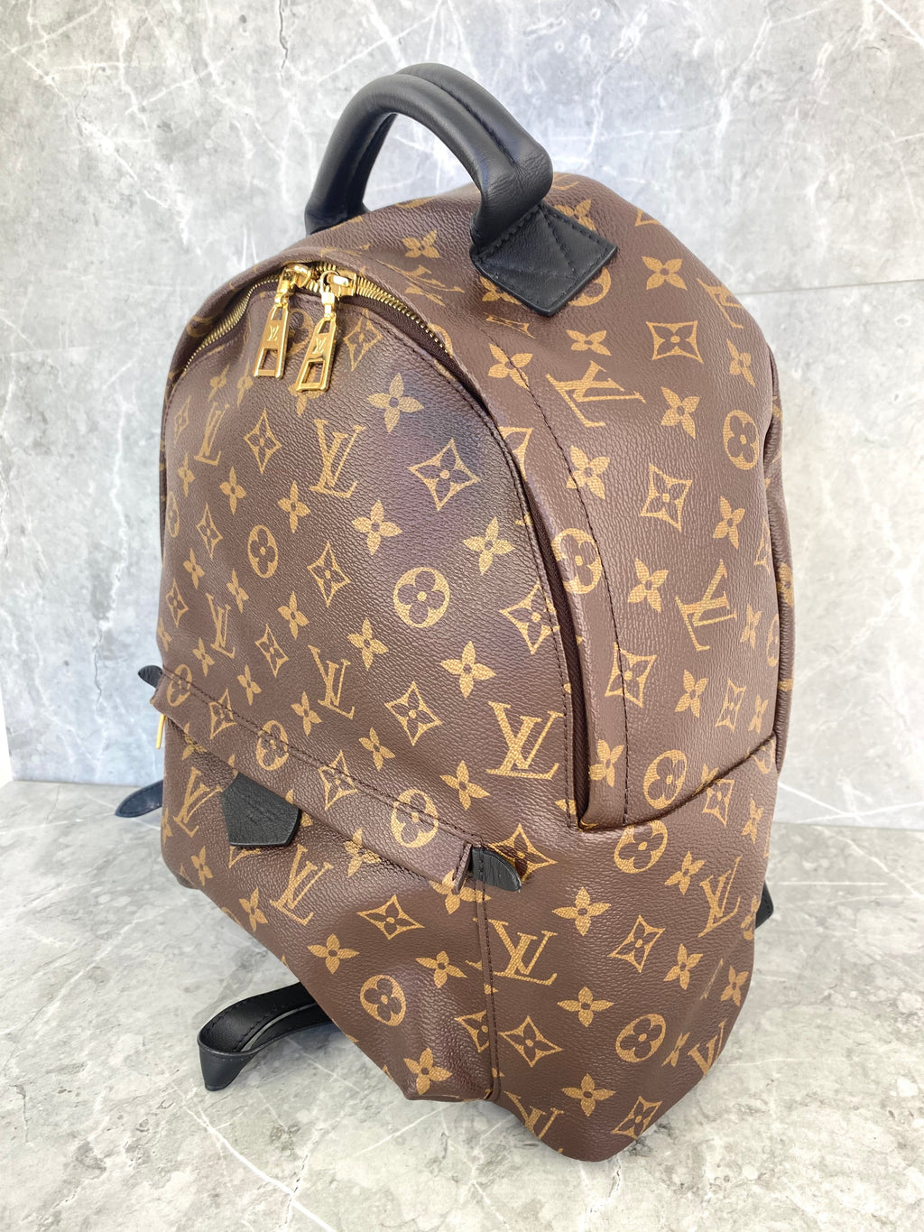 Louis Vuitton Monogram Palm Springs MM