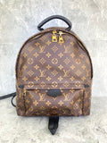 Louis Vuitton Monogram Palm Springs MM