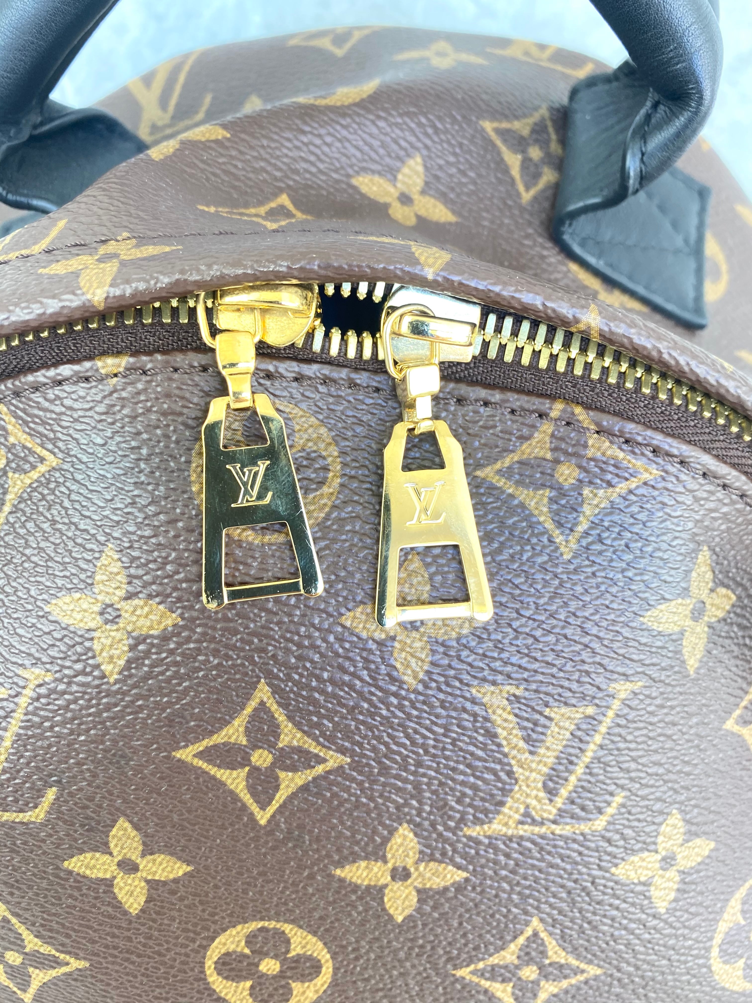 Louis Vuitton Monogram Palm Springs MM
