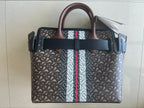 Burberry E Canvas Monogram Stripe Small Tote Bridle Brown Handbag Bag Purse NEW