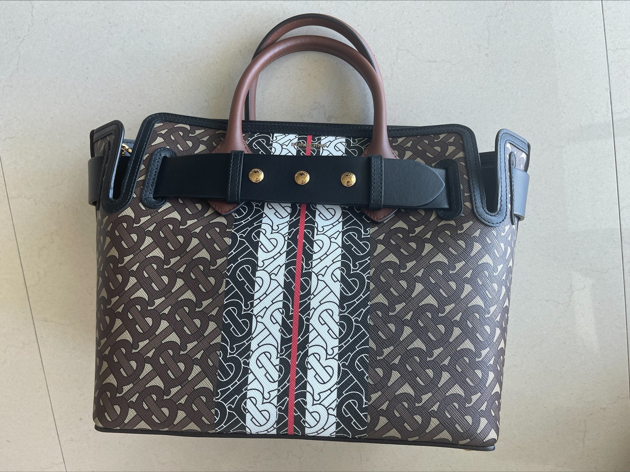 Burberry E Canvas Monogram Stripe Small Tote Bridle Brown Handbag Bag Purse NEW